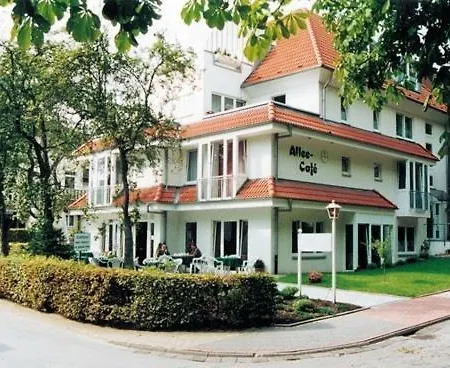 Bögemann 2*
